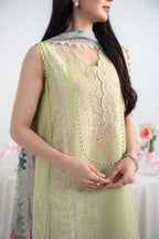 Aman